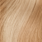 11/15 Honey Highlights