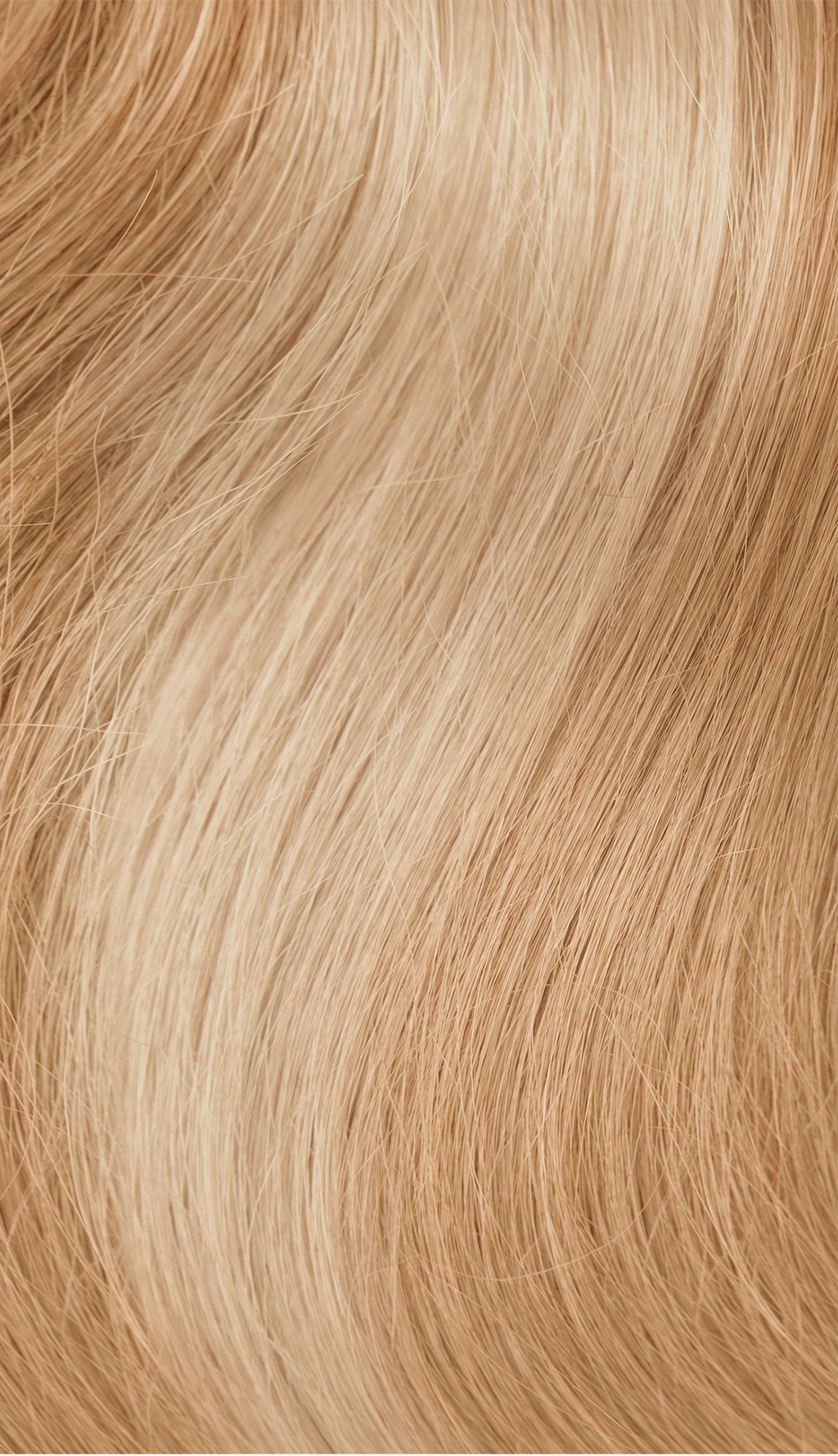 11/15 Honey Highlights