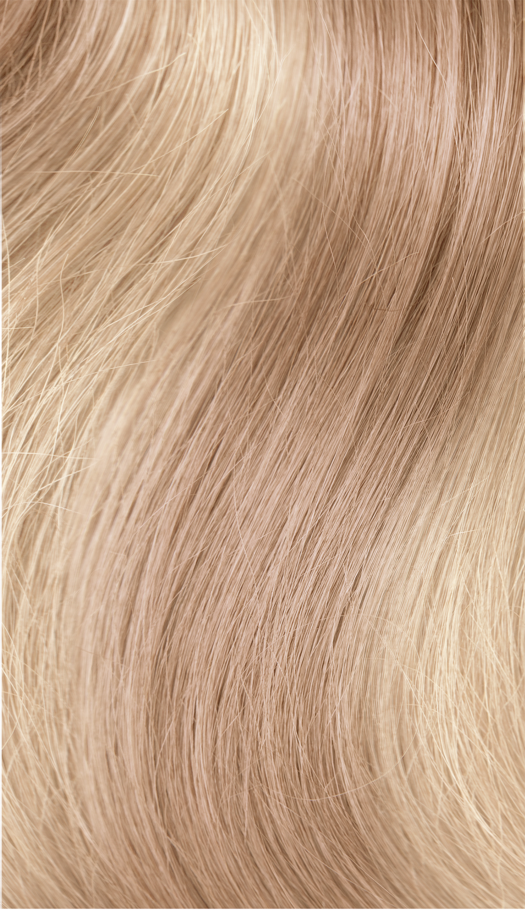 19/12 Vanilla Caramel