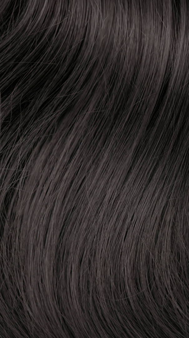 Richy Hair clip in lugg i färg 0202 