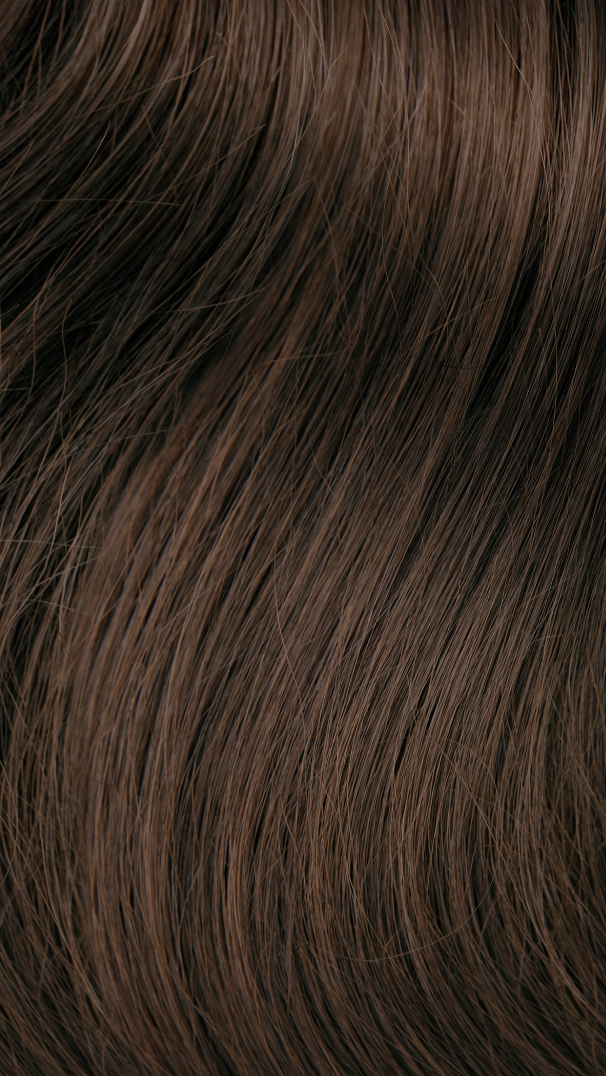 Richy Hair clip in lugg i färg 0404 